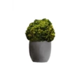 Кашпо с шаром их мха 95 см