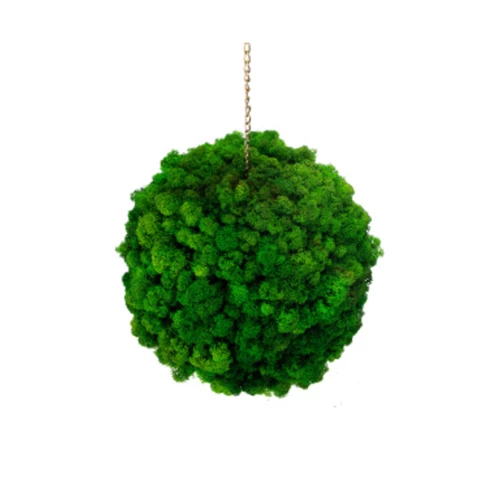 Шар из мха ягель на цепочке 30 см