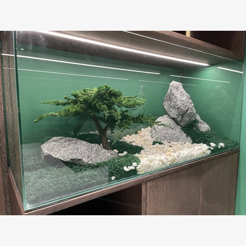Флорариум с бонсаем в стекле