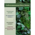 Дерево Парвафолия стабилизированное 130 см. №1