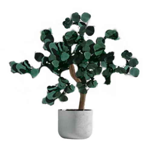 Дерево Эвкалипт стабилизированное 40 см, №4