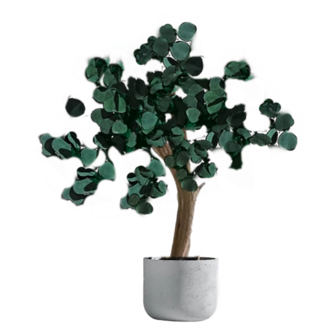 Дерево Эвкалипт стабилизированное 90 см, №6