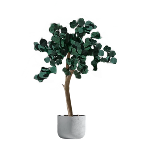 Дерево Эвкалипт стабилизированное 120 см, №7