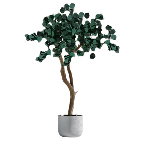 Дерево Эвкалипт стабилизированное 180 см, №9