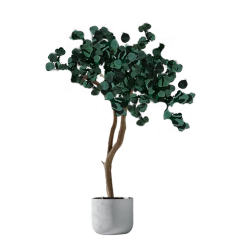 Дерево Эвкалипт стабилизированное 200 см, №10