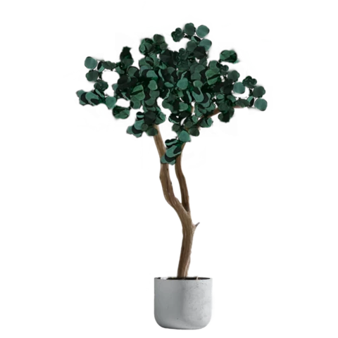 Дерево Эвкалипт стабилизированное 230 см, №11