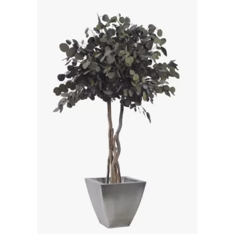 Дерево Тополь стабилизированное В130, №12