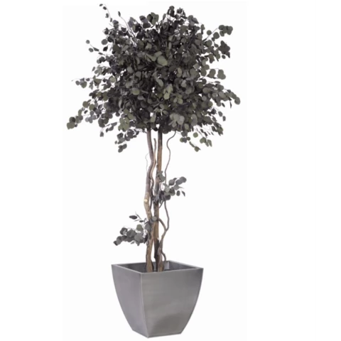 Дерево Тополь стабилизированное В180, №14