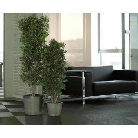 Дерево Тополь стабилизированное В180, №15