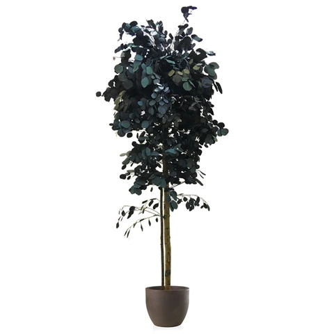 Дерево Тополь стабилизированное В210, №16