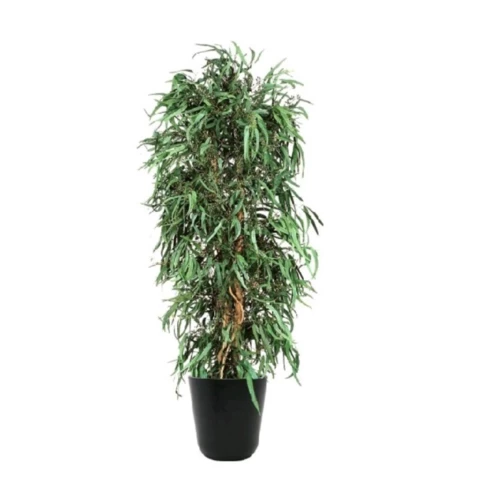 Дерево Тополь стабилизированное В130, №21