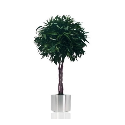 Дерево Тополь стабилизированное В180, №23