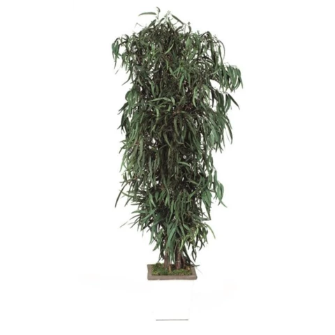 Дерево Тополь стабилизированное В210, №26