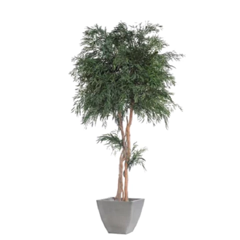 Дерево Тополь стабилизированное В240, №27