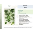Лайтбокс\Фитобокс с искусственными растениями за матовым стеклом D57