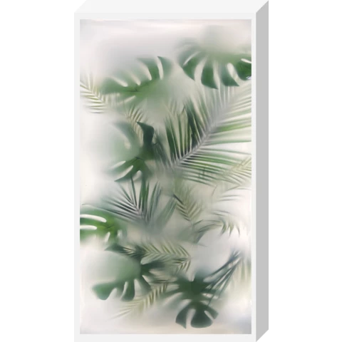 Лайтбокс\Фитобокс с монстерой и пальмой за матовым стеклом D57