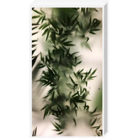 Лайтбокс\Фитобокс с бамбуком за матовым стеклом D57