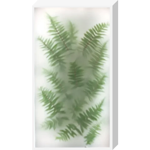 Лайтбокс\Фитобокс с папоротником за матовым стеклом D57