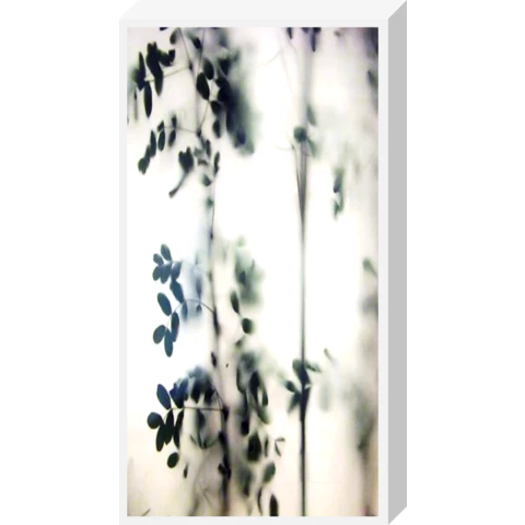 Лайтбокс\Фитобокс с ветками дерева за матовым стеклом D57