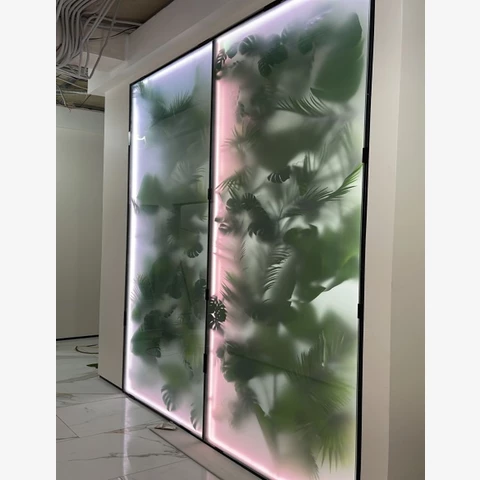 Перегородка стеновая стеклянная двусторонняя матовая с растениями и подсветкой 