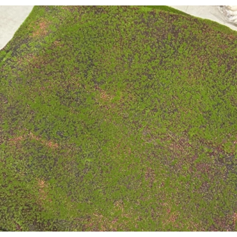 Фитопанель искусственного мха Дизайн №110.2 