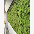 Фитопанель искусственного мха Дизайн №110.3 