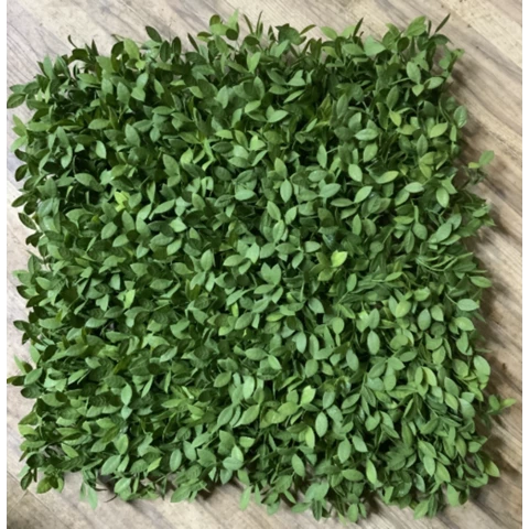 Фитопанель Дизайн№110.10 