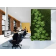 Фитостена искусственная Дизайн №113 