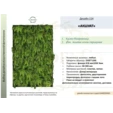 Фитостена искусственная с папоротником. Дизайн №114 