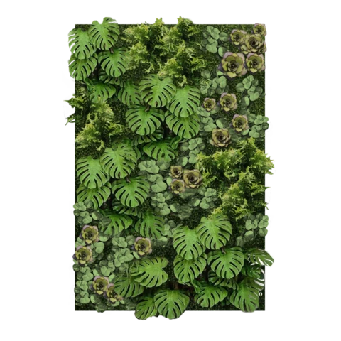 Фитостена искусственная с монстерой и суккулентами. Дизайн №117 