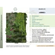 Фитостена искусственная с традесканцией. Дизайн №121 