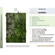 Фитостена искусственная Дизайн №134 