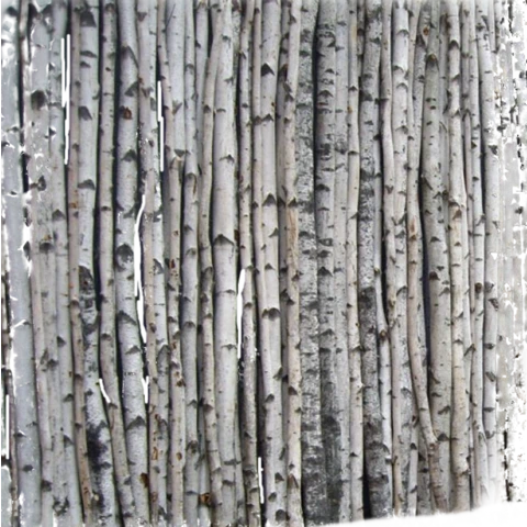 Стена из натуральных стволов берёзы 