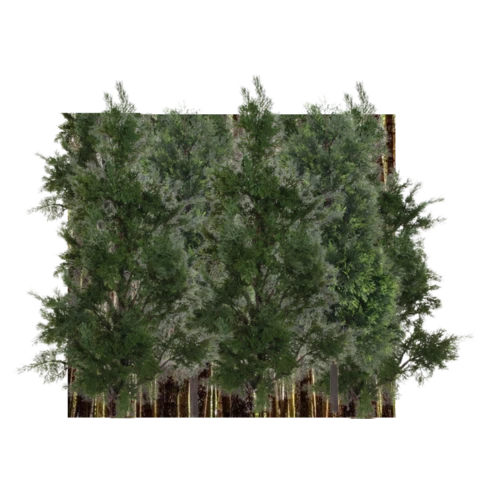 Фитостена искусственная Дизайн №149 