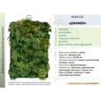Фитостена искусственная Дизайн №152 