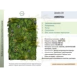 Фитостена искусственная Дизайн №154 