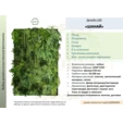 Фитостена искусственная Дизайн №160 
