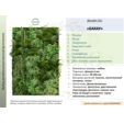 Фитостена искусственная Дизайн №161 