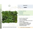 Фитостена искусственная Дизайн №162 