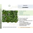 Фитостена искусственная Дизайн №163 