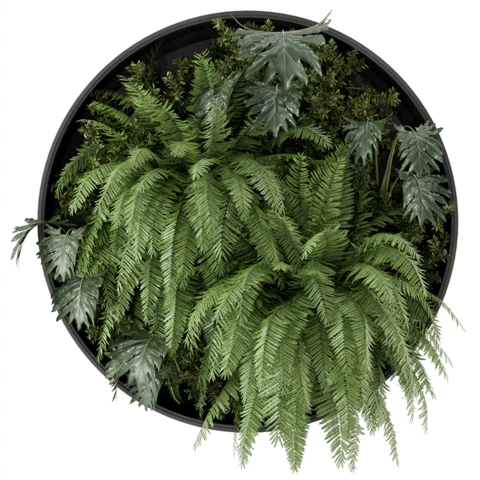 Фитостена искусственная свободной формы без рамы Дизайн №166 