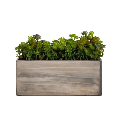 Суккуленты мини в кашпо №1, В15*Д30*Ш10