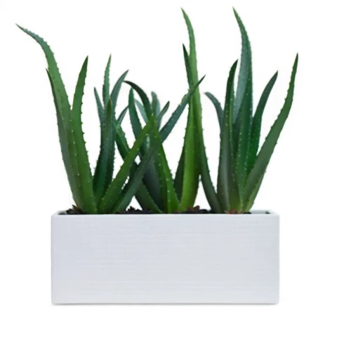 Кашпо с искусственными Алоэ №3, В37*Д30*Ш15
