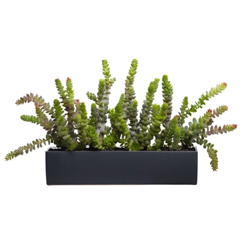 Суккуленты искусственные в кашпо 