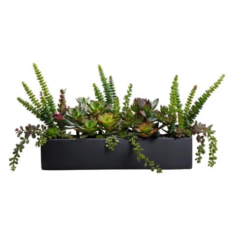 Суккуленты искусственные в кашпо №5, В18*Д50*Ш15