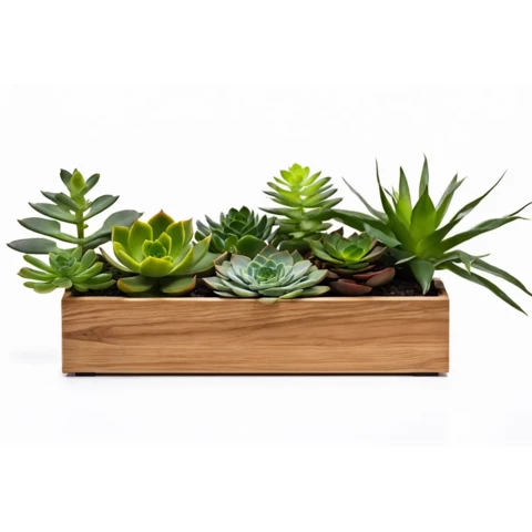 Кашпо с искусственными суккулентами №8, В22*Д50*Ш15