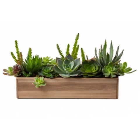 Кашпо с искусственными суккулентами №9, В22*Д50*Ш15