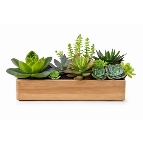 Кашпо с искусственными суккулентами №10, В22*Д50*Ш15