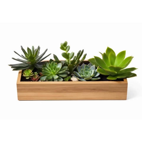 Кашпо с искусственными суккулентами №12, В22*Д50*Ш15