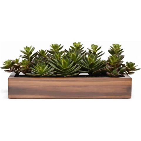 Кашпо с искусственными суккулентами №13, В22*Д50*Ш15